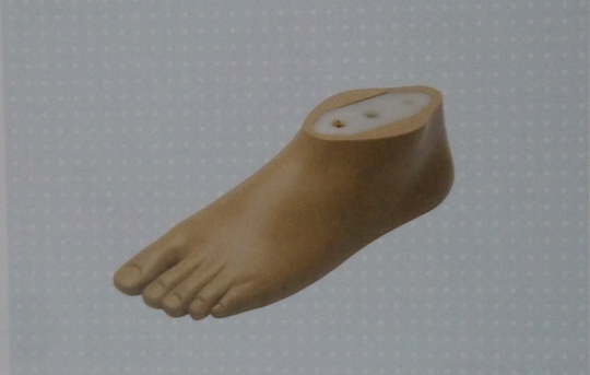 奥托博克1s101静踝假脚