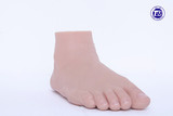 足部假肢Ⅱ型
